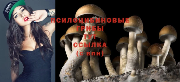 винт Балабаново
