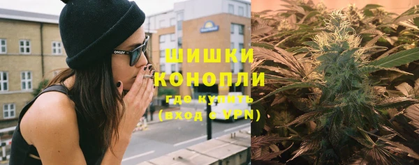 PSILOCYBIN Балахна