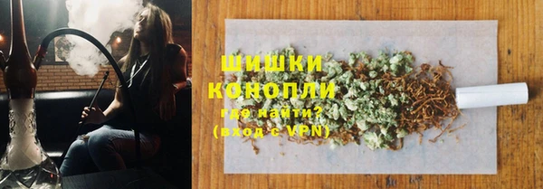 PSILOCYBIN Балахна