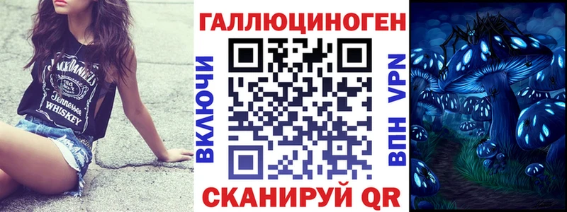 Галлюциногенные грибы Psilocybine cubensis Купить Урус-Мартан